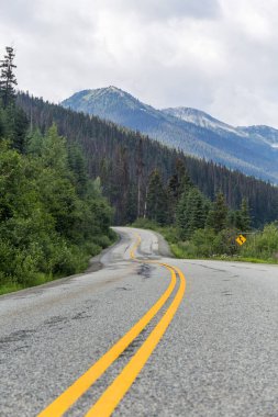 road through Canadian natural parks, asphalt with yellow lines clipart