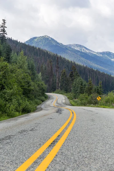 Kanada doğal parklarında yol, sarı çizgileri olan asfalt.