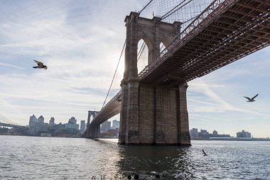 Brooklyn köprüsü, köprünün yan manzarası ve kemerlerden biri, üzerinde kuşlar uçuyor, nehir ve şehir uzaklığında.