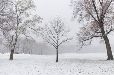 Central Park 'taki yılbaşında yapraksız ağaçlarla dolu karlı çayır. Arka plandaki sis arasında Manhattan' daki binaları görebilirsiniz.