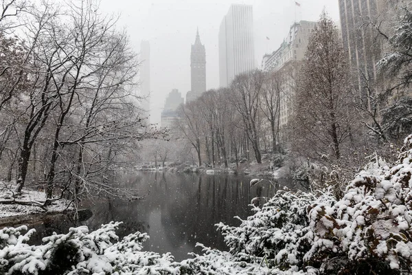 Karlı Central Park, kar yağışı sırasında park göllerinden biri.