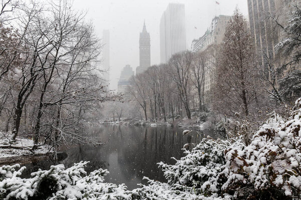 Snowy Central Park, one of the park lakes during a snowfall