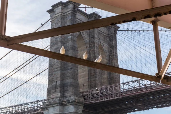 Brooklyn Köprüsü 'nün farklı bir perspektifinden, kemerlerden birinin demir bir yapıdan yan görüntüsü.
