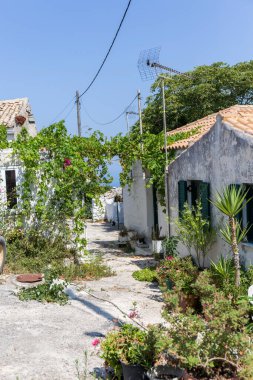 Yunanistan 'daki Zakynthos adasının iç kesimlerinde beyaz evleri ve pek çok bitkisi olan tipik bir köy