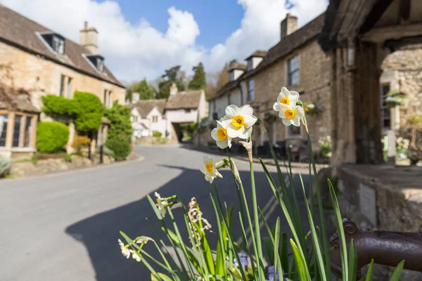 Primo Piano Narcisi Che Crescono Nella Piazza Una Città Inglese — Foto Stock