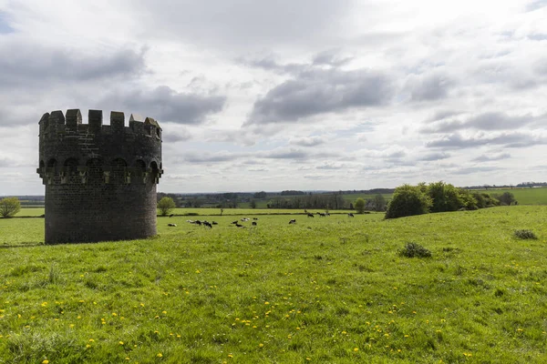 Turmförmiges Silo Eines Schlosses Inmitten Einer Wiese Auf Der Tiere — Stockfoto