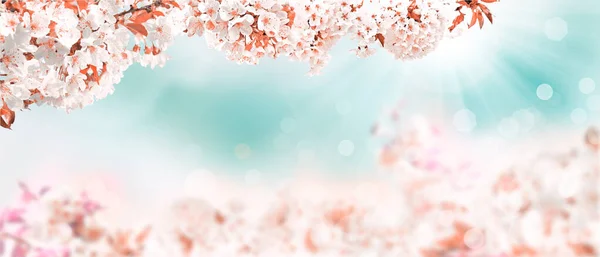 Weiße Blüte Und Grüne Blätter Auf Blauem Himmel Hintergrund — Stockfoto