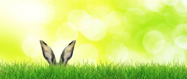 Tavşanlı Paskalya kompozisyonu. Şenlik dekorasyonu. Mutlu Paskalyalar!