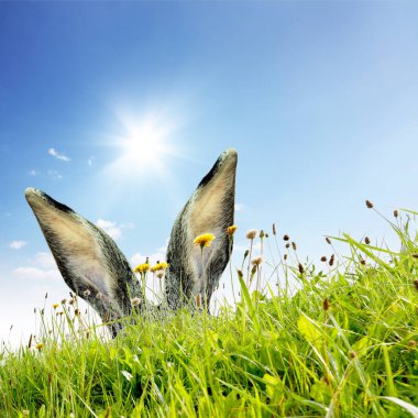 Tavşanlı Paskalya kompozisyonu. Şenlik dekorasyonu. Mutlu Paskalyalar!