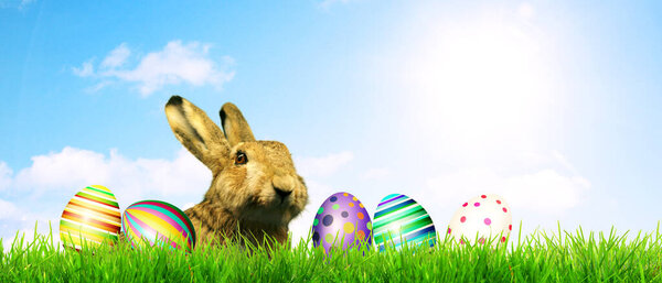 Easter composition with eggs. Festive decoration. Happy Easter!