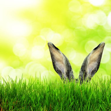 Tavşanlı Paskalya kompozisyonu. Şenlik dekorasyonu. Mutlu Paskalyalar!