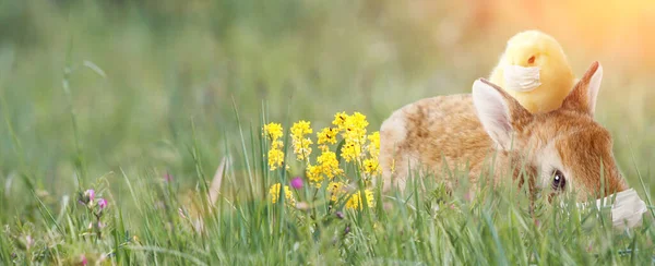 Kompozycja Wielkanocna Motywem Coronavirus Kwarantanna Wielkanocna — Zdjęcie stockowe