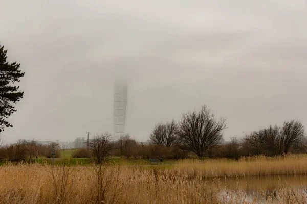 Een Rustige Winterdag Aan Een Meer Een Openbaar Park Malmö — Stockfoto