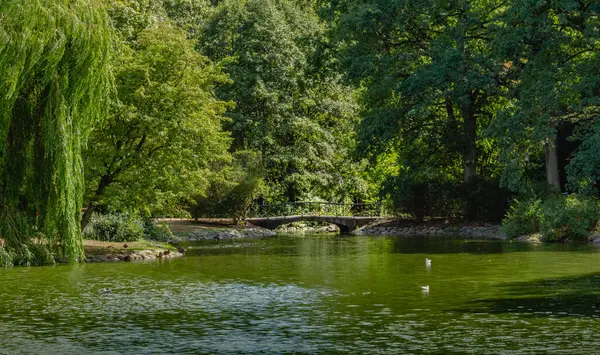 Een Rustige Dag Slottsparken Een Openbaar Park Het Centrum Van — Stockfoto