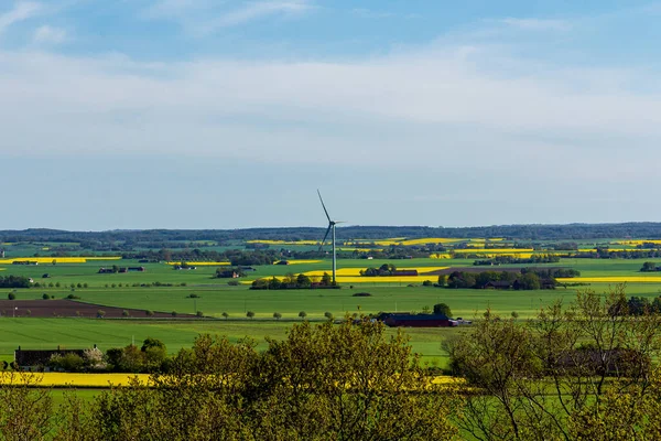 A wind turbine stands alone in the otherwise flat farmland landscape in Skane (Scania), south of Sweden, on a bright spring day with yellow and green fields
