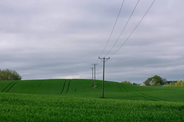 古いスタイルの電気のある電柱は 春の間 スウェーデン南部の緑の農地の真ん中に並んでいます 作物は成長している — ストック写真