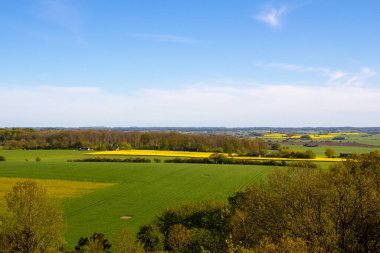 Billebjer, Lunds kommun, İsveç 'ten alınan yeşil, altın ve sarı alanlarla dolu bir İskandinav (Güney İsveç) manzarası