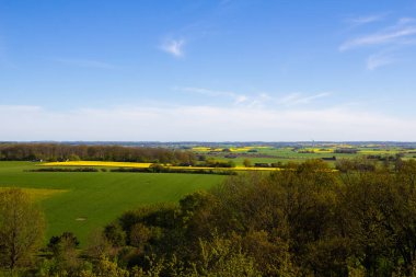 Billebjer, Lunds kommun, İsveç 'ten alınan yeşil, altın ve sarı alanlarla dolu bir İskandinav (Güney İsveç) manzarası