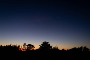 Güneş batmak üzere, turuncu parıltı koyu mavi gökyüzüne iyi bir kontrast sağlıyor. Ağaçlar bu arka plana doğru siluet gibidir..