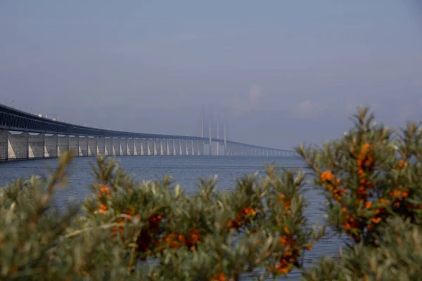 Die Öresundbrücke Einem Warmen Sommermorgen Mit Ein Paar Grünen Und — Stockfoto