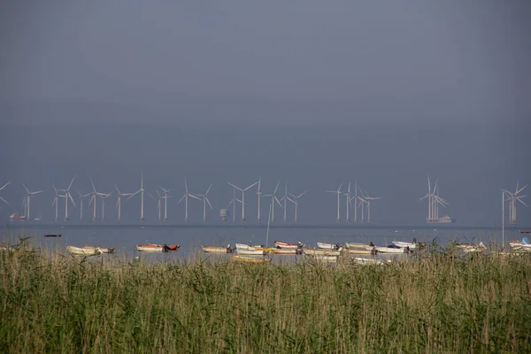 The wind farm park called Lillgrund is placed in the sea Oresund, between Sweden and Denmark. It produces clean energy.