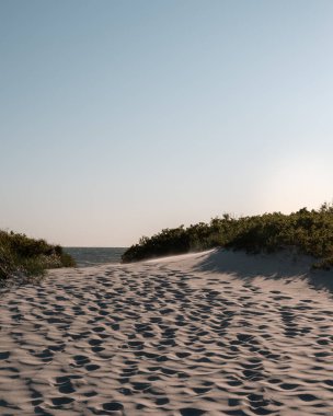 Kumun üzerindeki ayak izleri kum tepelerini aşıyor, bazı çalıların arasında, okyanusa doğru, İsveç 'in Lomma adlı sahil kasabasının yanındaki
