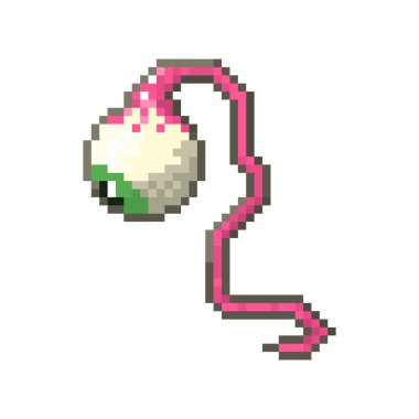 Oyunlar ve web siteleri için piksel karakter gözü.