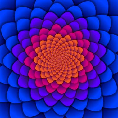 Arka plan. Kırmızı ve mavi sarmal çiçek deseni. Soyut Lotus çiçeği. Ezoterik Mandala sembolü.