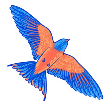 Beyaz zemin üzerinde mavi tropik kuş. cennet kuşu. Çizilen fırça konturu öğeleri el.