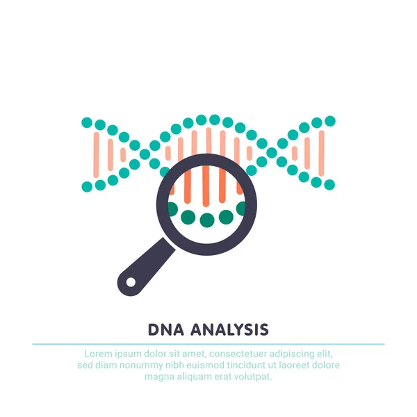 Análisis de ADN, pruebas genéticas. cadena de ADN en el signo de lupa. ingeniería genética, clonación, pruebas de paternidad . — Vector de stock