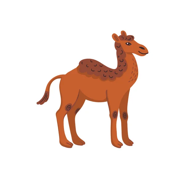 Animali estinti. Camelops, cammello occidentale. Cammello americano a una gobba preistorico estinto. Illustrazione vettoriale in stile piatto isolata su sfondo bianco . — Vettoriale Stock