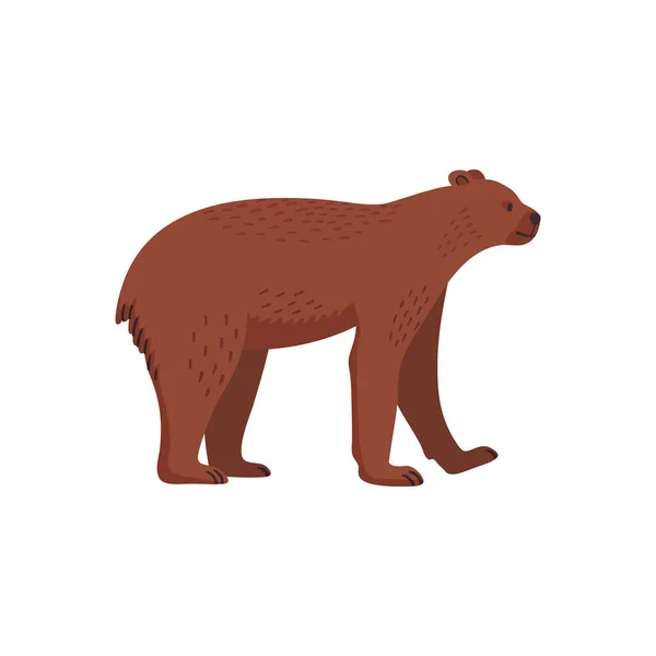 Extinct animals. Short-faced bear. Prehistoric extinct american bear. Flat style vector illustration isolated on white background. — Stock vektor