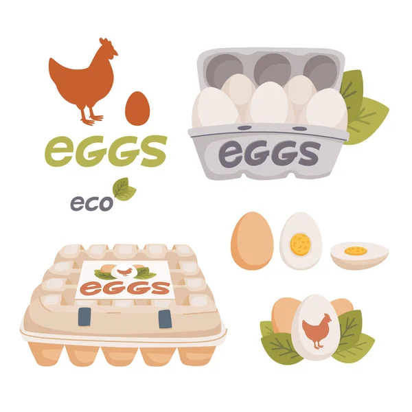 Set van kip en kwarteleitjes in verschillende vormen rauw, gekookt en gebakken en in kartonnen dozen. Biologisch landbouwproduct, eco. Koken ingrediënt. Platte stijl vector illustratie. — Stockvector