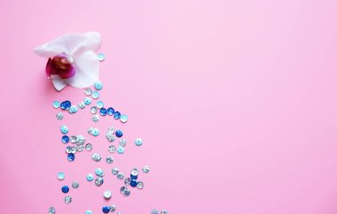 Pembe arka plan, ışıltılı ve orkide çiçekli. Boşluğu kopyala, kutlama düzlüğü