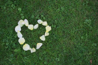 Kalbim yeşil çimlerin üzerinde gül yapraklarıyla yatıyordu.