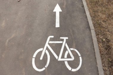 Büyük şehir parkında bisiklet yolu