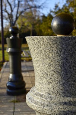 Satranç, piyon, oyun, kral, siyah, strateji, beyaz, tahta, rekabet, taş, park, kraliçe, eski, konsept, oyun, parça, mimari, bahçe, beyaz zemin üzerinde dekoratif, ahşap, satranç, mermer satranç