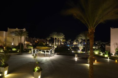 Gece, palmiye ağaçları, ışıklar, çalılar, arka ışık, bina, çardak, otel, saksı, rahatlama, seyahat, Mısır, Asya