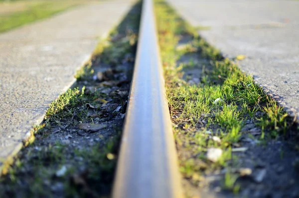 Straße Eisenbahn Reise Grün Zug Eisenbahn Schiene Linie Asphalt Gras — Stockfoto