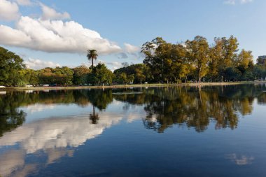 Ağaçlar ve yeşil bitki örtüsü şehirdeki bir göldeki suya yansıyor.