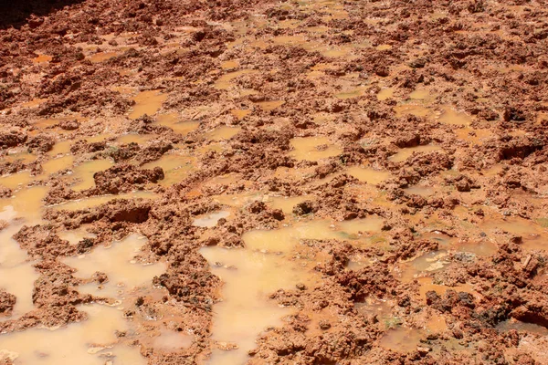 Лужи После Сильного Дождя Складе Почва Красная — стоковое фото