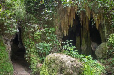 Rio de Janeiro 'daki Parque Lage' de küçük mağaralar