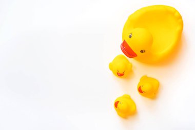 Yüzmek için ördekler beyaz bir arkaplanda izole olurlar. Seçici odak.