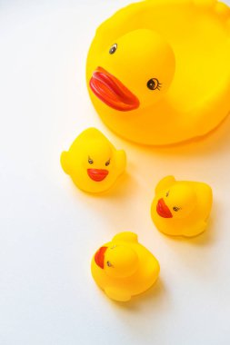 Yüzmek için ördekler beyaz bir arkaplanda izole olurlar. Seçici odak.