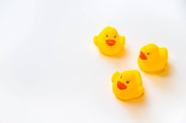 Yüzmek için ördekler beyaz bir arkaplanda izole olurlar. Seçici odak.