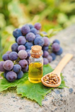 Küçük bir kavanozda üzüm tohumu yağı. Seçici odak.