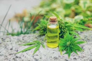 Küçük bir kavanozda esrar yağı. Seçici odak.