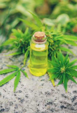 Küçük bir kavanozda esrar yağı. Seçici odak.