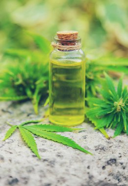 Küçük bir kavanozda esrar yağı. Seçici odak.