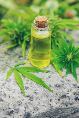 Küçük bir kavanozda esrar yağı. Seçici odak.